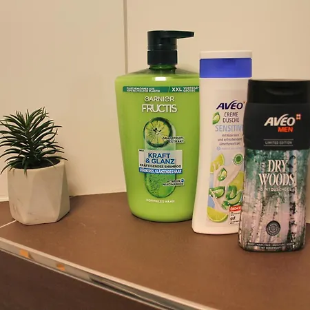 Interlaken 20min Mit Privater Quelle 公寓 弗鲁蒂根