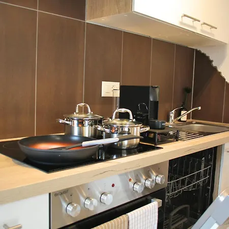 公寓 Interlaken 20min Mit Privater Quelle 弗鲁蒂根