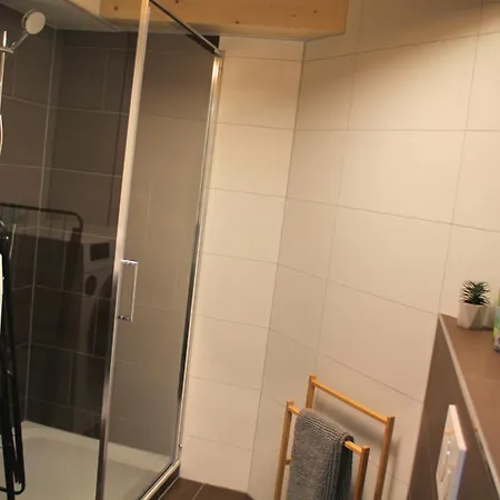 公寓 Interlaken 20min Mit Privater Quelle 弗鲁蒂根