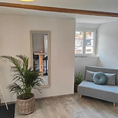 Interlaken 20min Mit Privater Quelle * 弗鲁蒂根